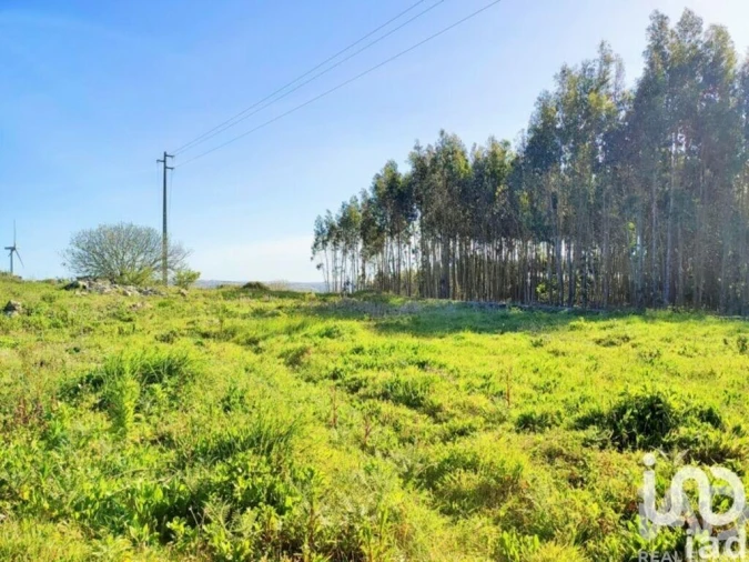 Terreno para Venda em Reguengo Grande Foto 21