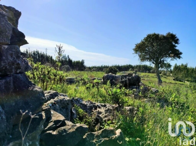 Terreno para Venda em Reguengo Grande Foto 5