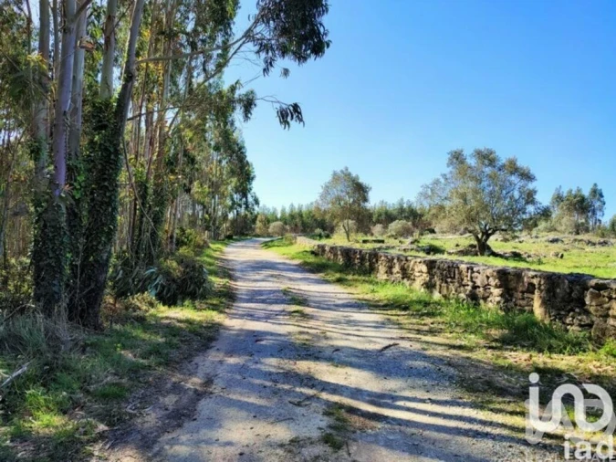 Terreno para Venda em Reguengo Grande Foto 28