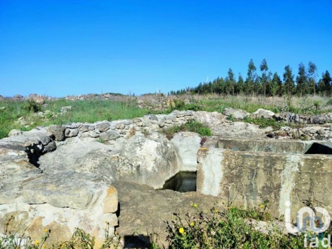 Terreno para Venda em Reguengo Grande Foto 4