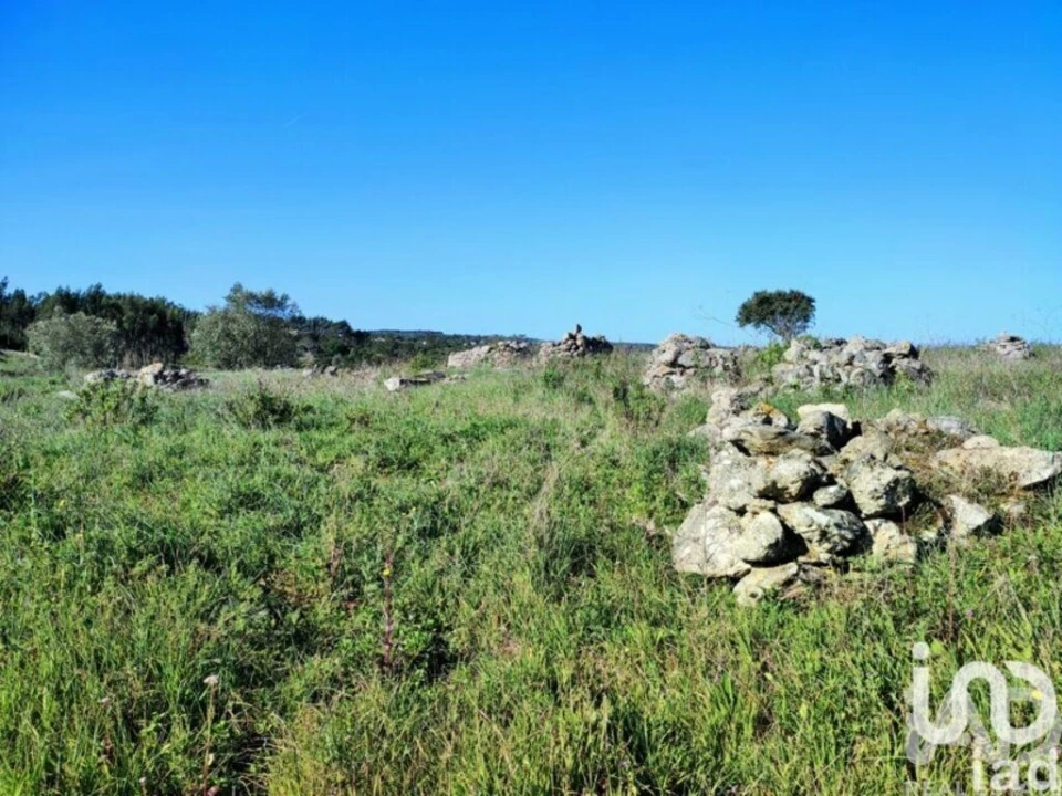 Terreno para Venda em Reguengo Grande Foto 27