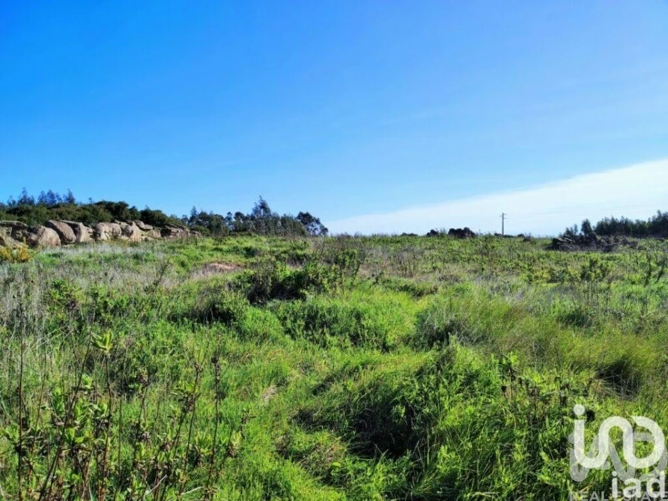 Terreno para Venda em Reguengo Grande Foto 20