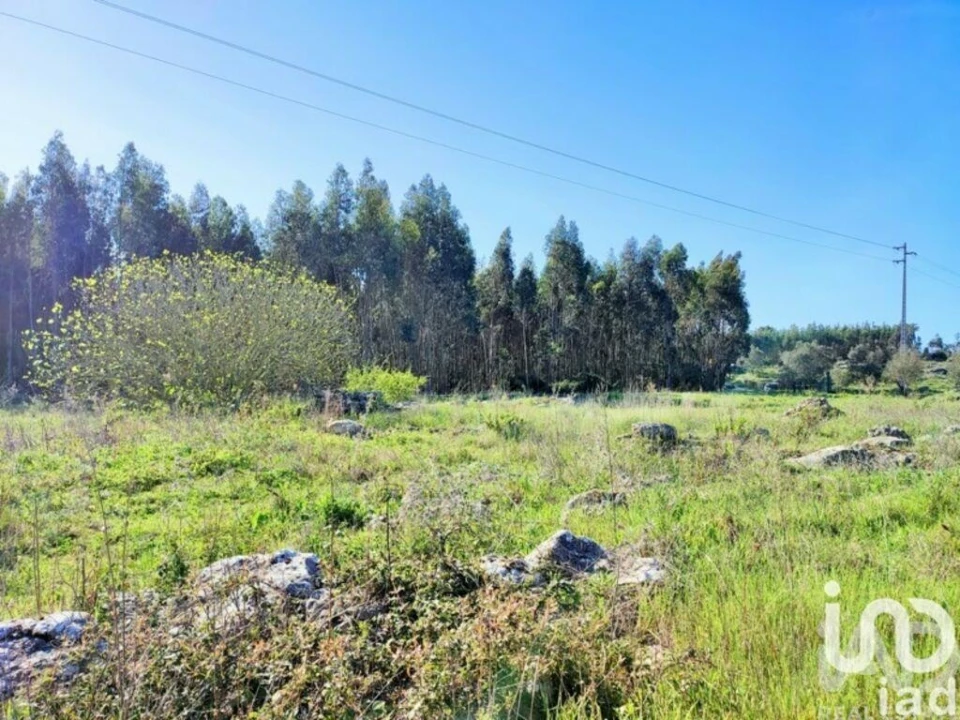 Terreno para Venda em Reguengo Grande Foto 15