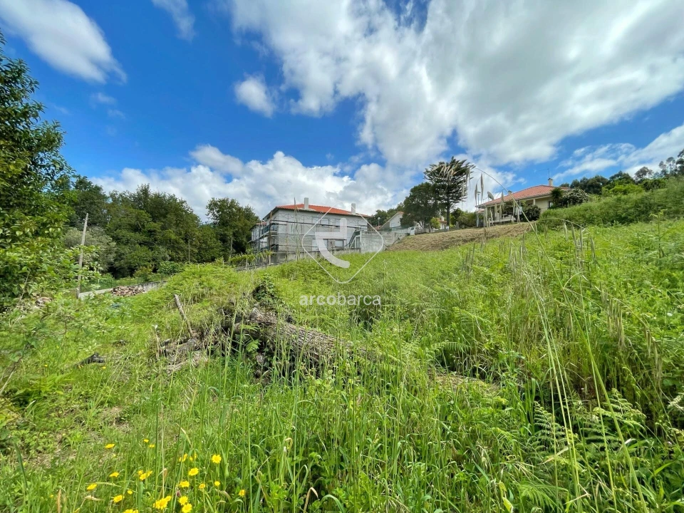 Terreno para Venda em Souto e Tabaçô Foto 6