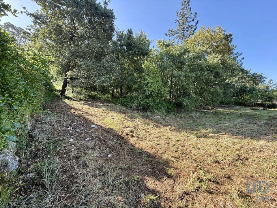 Terreno para Venda em Pedreiras Foto 14