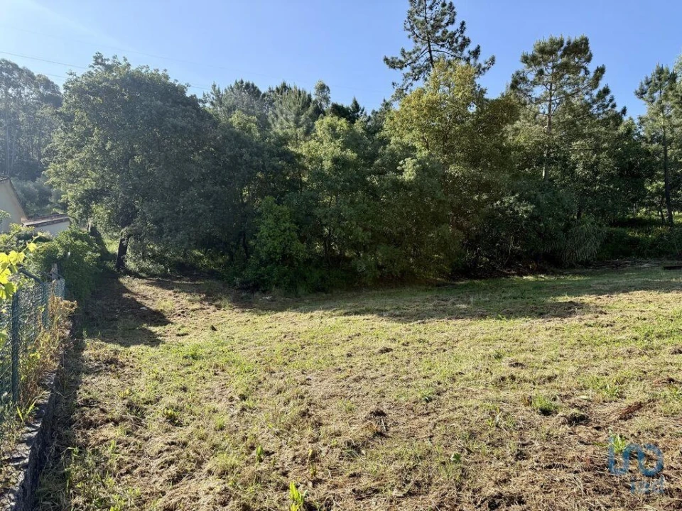 Terreno para Venda em Pedreiras Foto 12