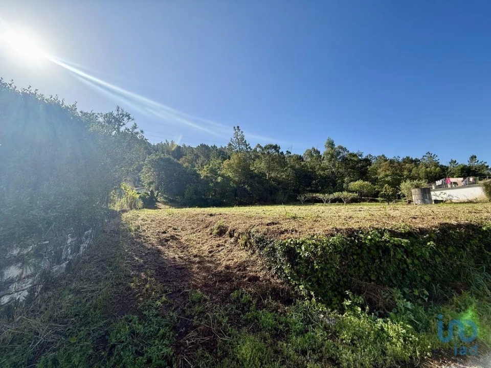 Terreno para Venda em Pedreiras Foto 13