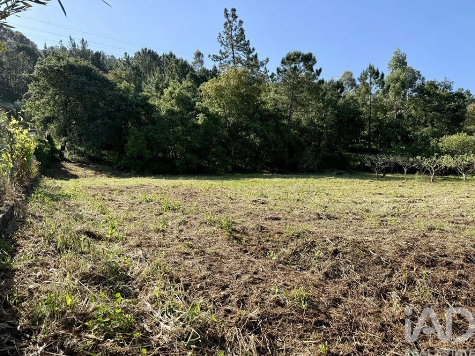 Terreno para Venda em Pedreiras Foto 17