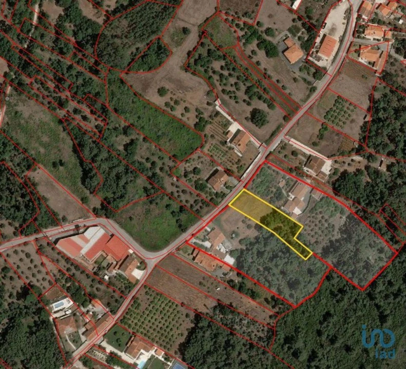 Terreno para Venda em Pedreiras Foto 4