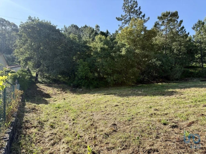 Terreno para Venda em Pedreiras Foto 12