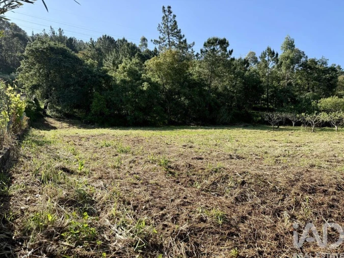 Terreno para Venda em Pedreiras Foto 17