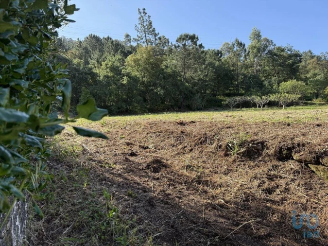 Terreno para Venda em Pedreiras Foto 11