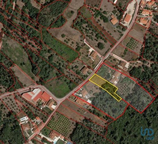 Terreno para Venda em Pedreiras Foto 4