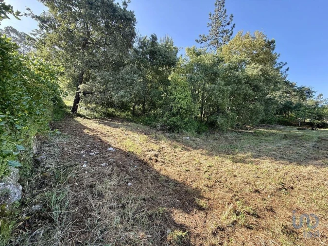 Terreno para Venda em Pedreiras Foto 9