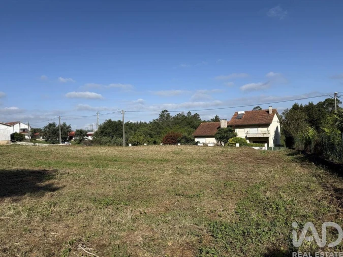 Terreno para Venda em Pedreiras Foto 15