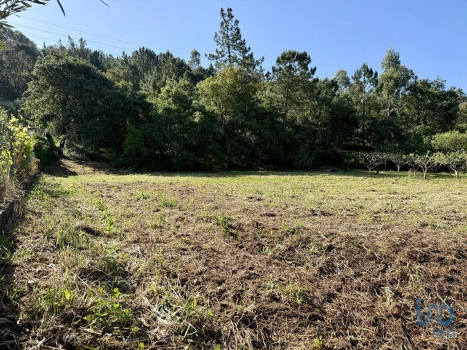 Terreno para Venda em Pedreiras Foto 8