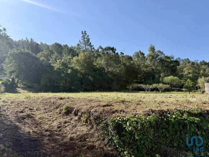 Terreno para Venda em Pedreiras Foto 7