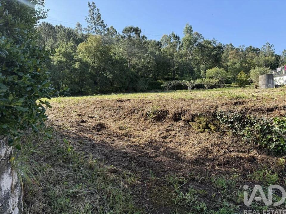 Terreno para Venda em Pedreiras Foto 18