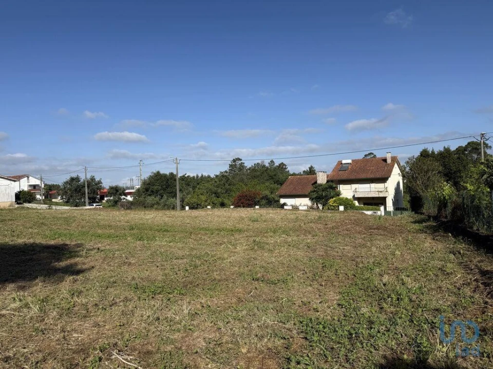 Terreno para Venda em Pedreiras Foto 10