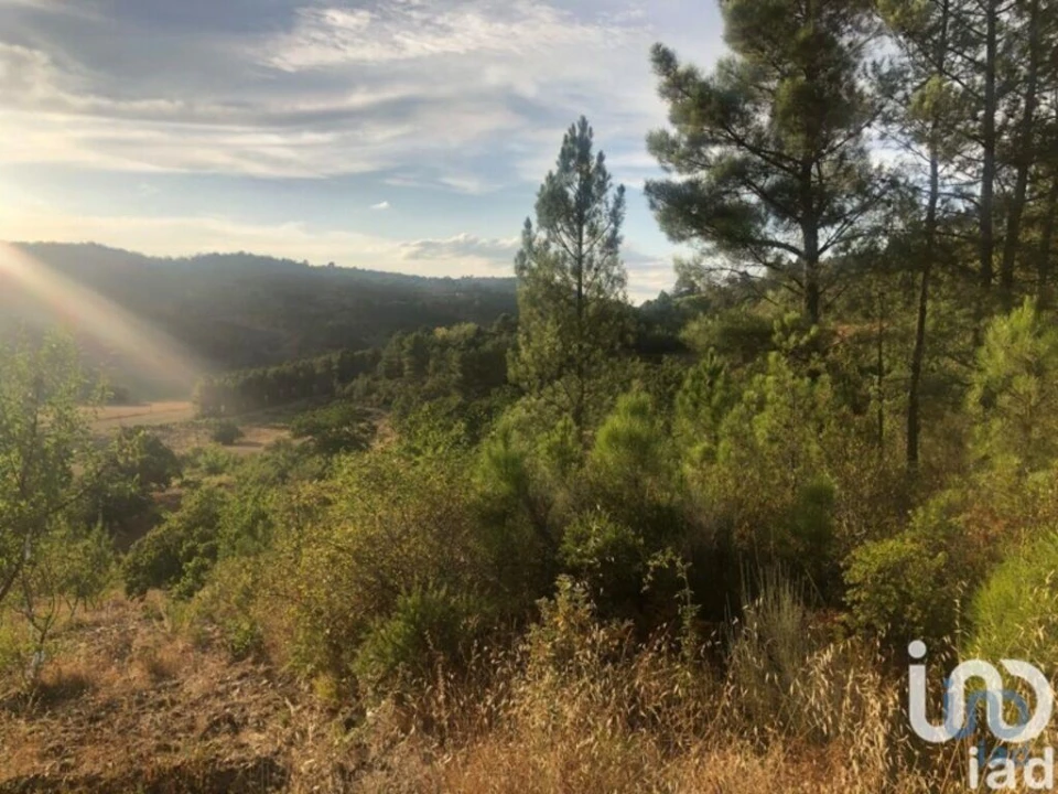 Terreno para Venda em Vinhais Foto 1