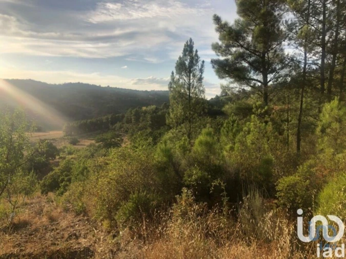 Terreno para Venda em Vinhais