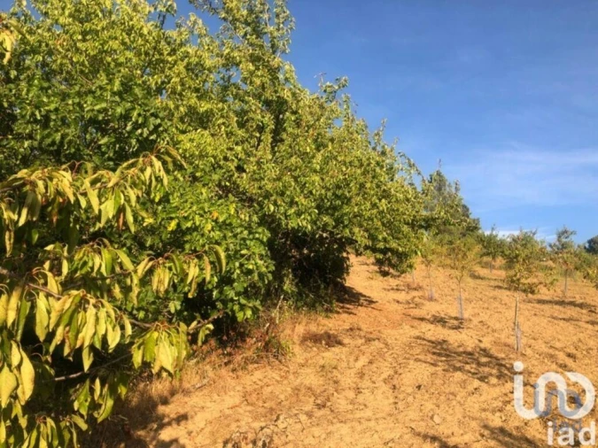 Terreno para Venda em Vinhais Foto 2