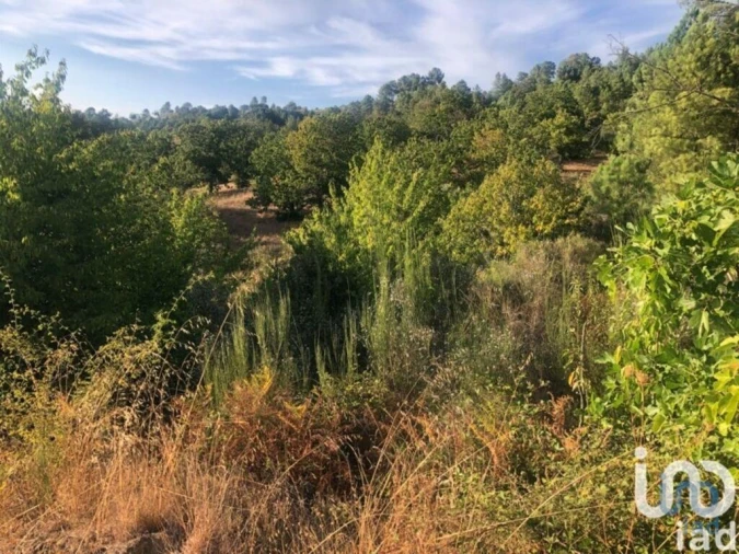 Terreno para Venda em Vinhais Foto 4