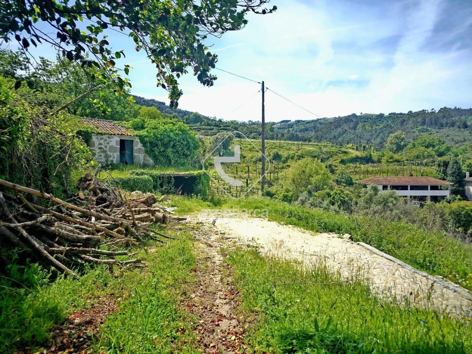 Quinta T2 para Venda em Crasto, Ruivos e Grovelas Foto 11