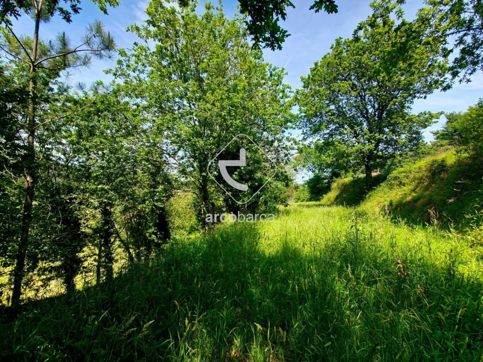 Quinta T2 para Venda em Crasto, Ruivos e Grovelas Foto 22