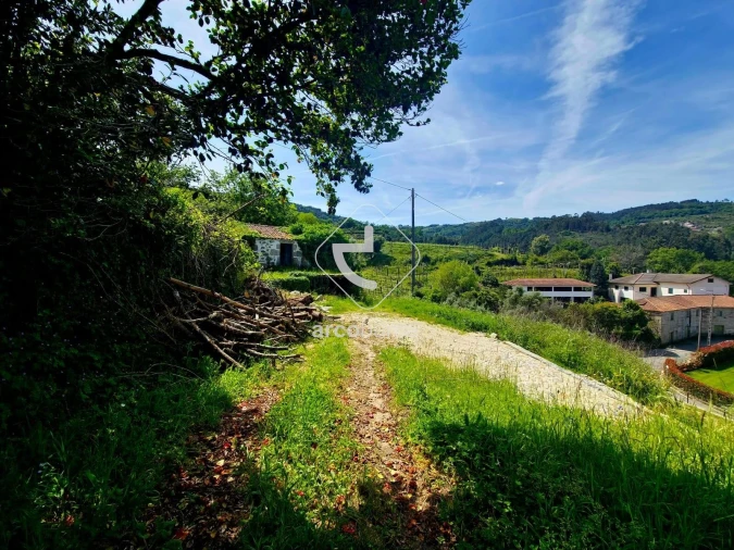Quinta T2 para Venda em Crasto, Ruivos e Grovelas Foto 5