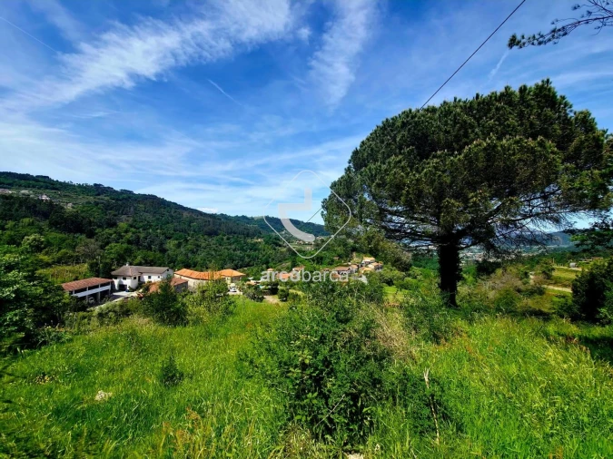 Quinta T2 para Venda em Crasto, Ruivos e Grovelas Foto 2