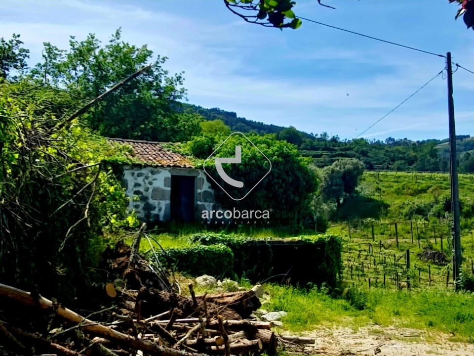 Quinta T2 para Venda em Crasto, Ruivos e Grovelas Foto 3