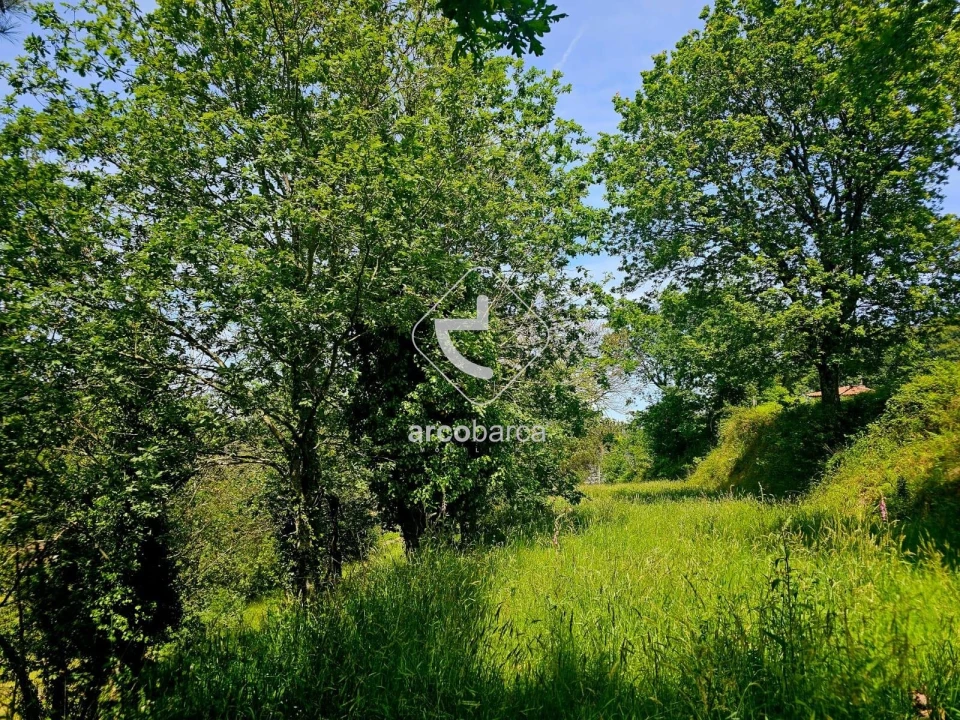 Quinta T2 para Venda em Crasto, Ruivos e Grovelas Foto 20