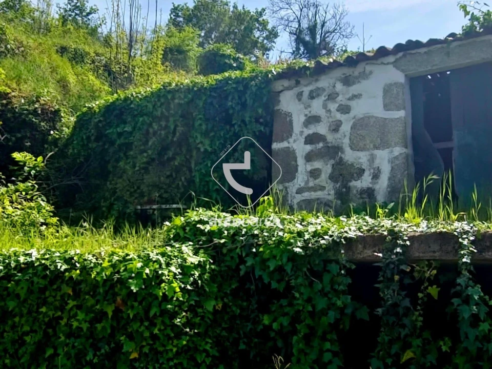 Quinta T2 para Venda em Crasto, Ruivos e Grovelas Foto 17