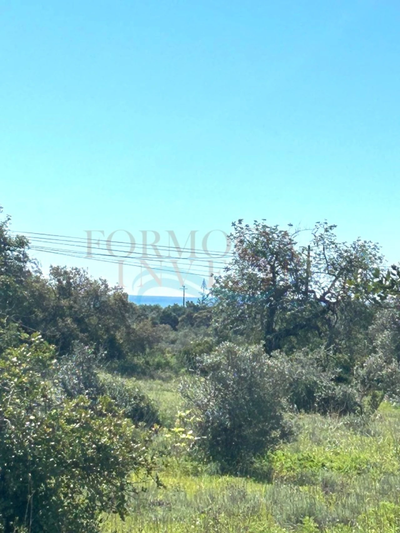 Terreno Agricola ou Rústico para Venda em Moncarapacho e Fuseta Foto 3