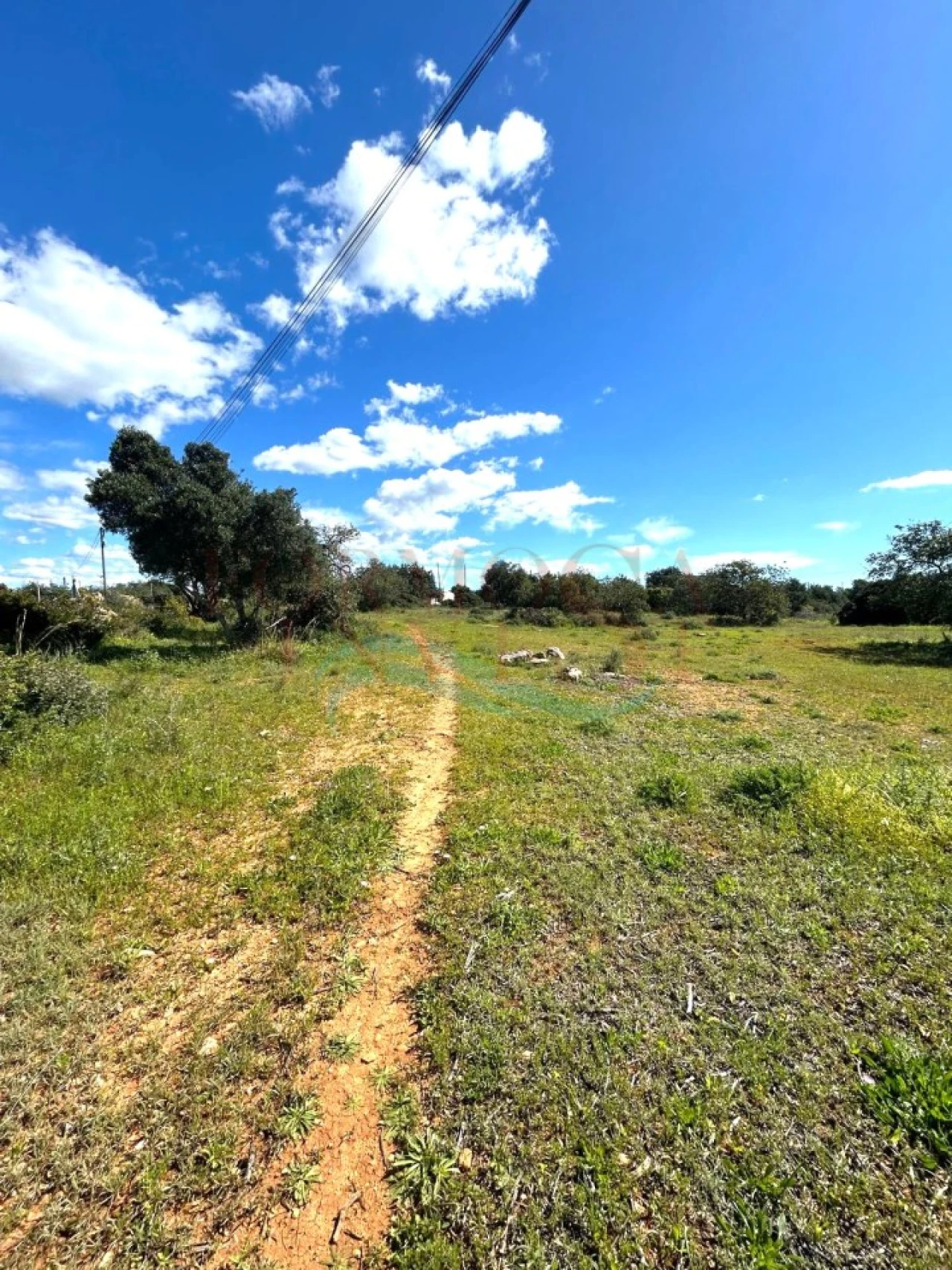 Terreno Agricola ou Rústico para Venda em Moncarapacho e Fuseta Foto 4
