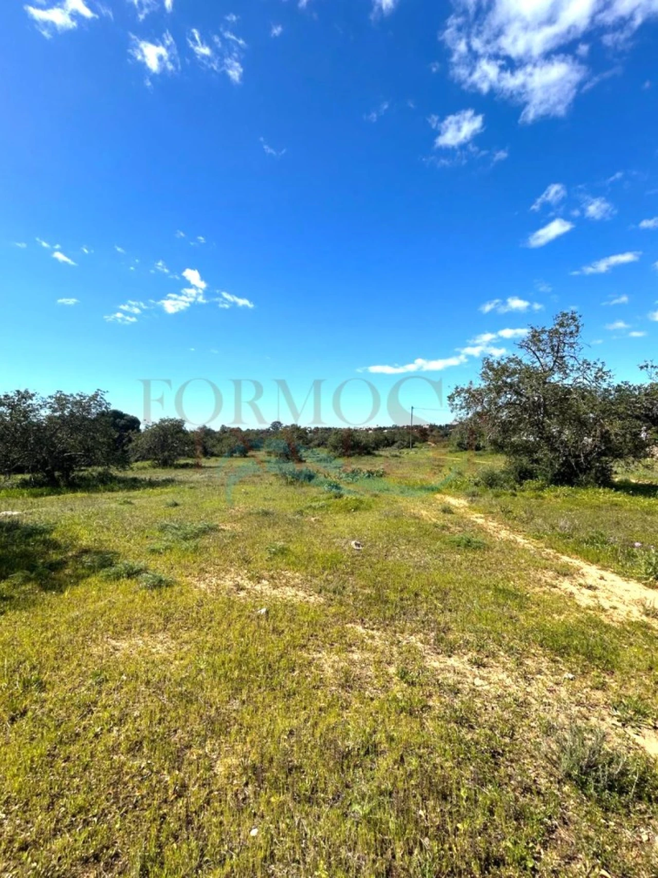 Terreno Agricola ou Rústico para Venda em Moncarapacho e Fuseta Foto 7