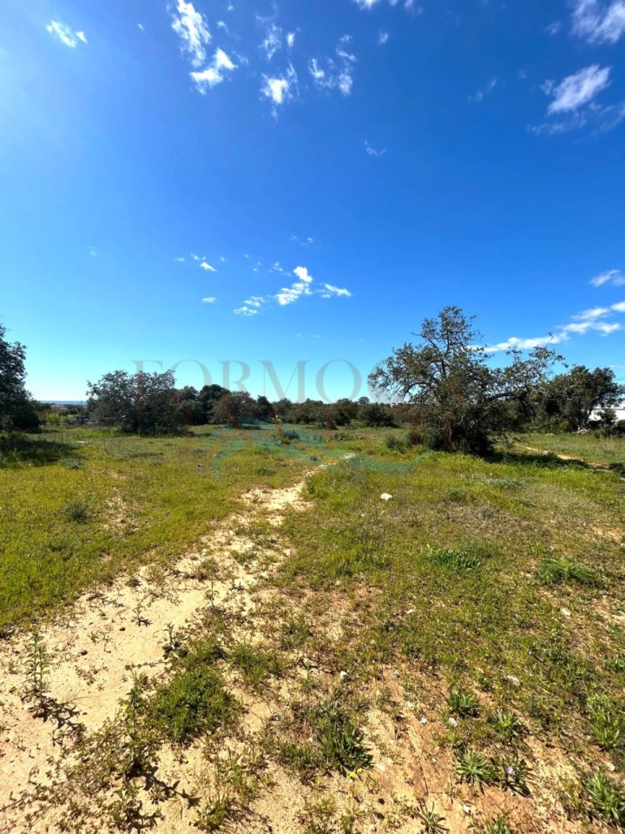 Terreno Agricola ou Rústico para Venda em Moncarapacho e Fuseta Foto 8
