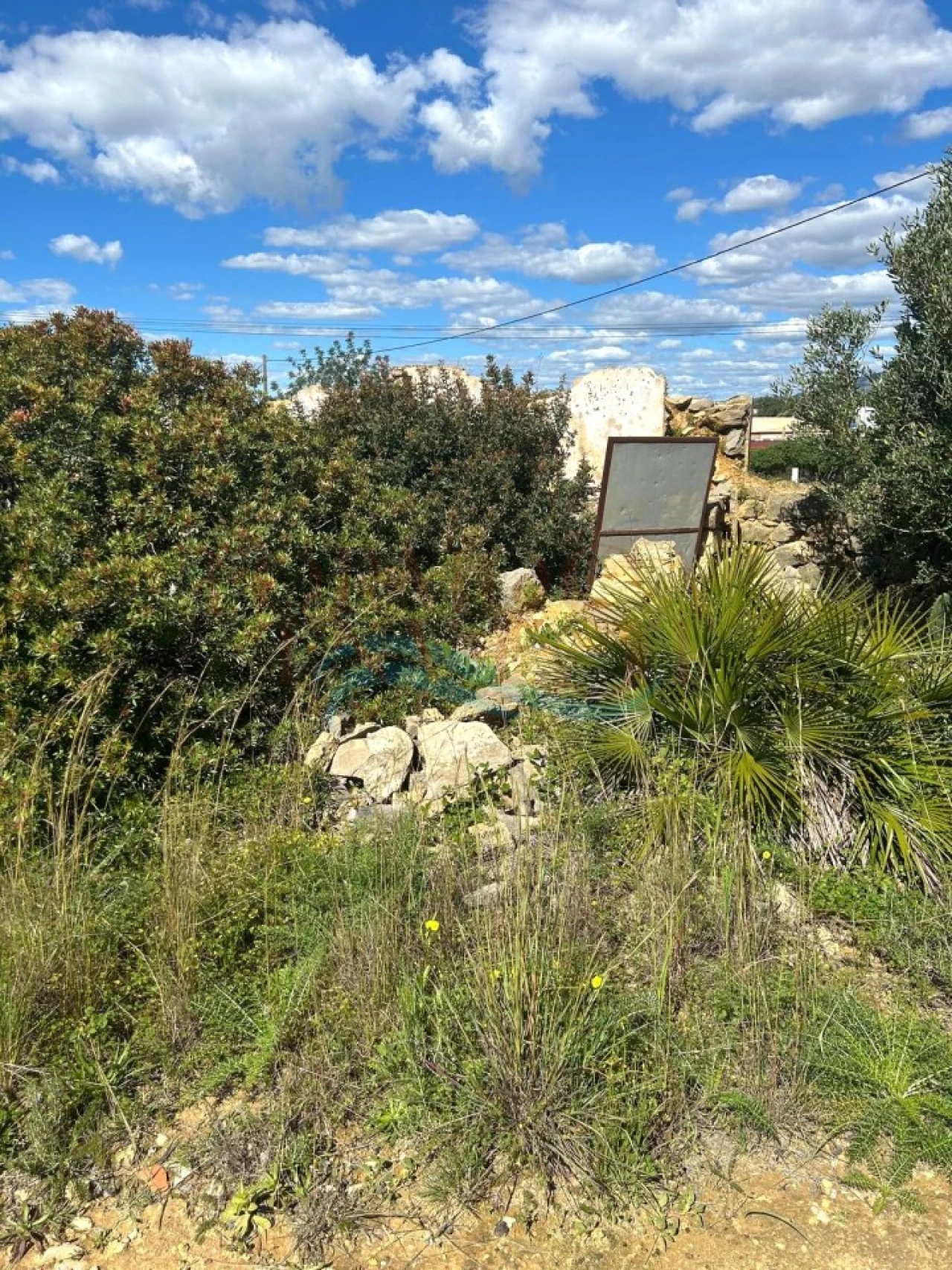 Terreno Agricola ou Rústico para Venda em Moncarapacho e Fuseta Foto 12