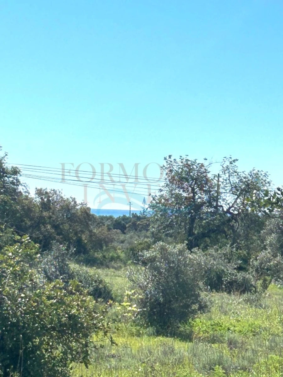 Terreno Agricola ou Rústico para Venda em Moncarapacho e Fuseta Foto 3