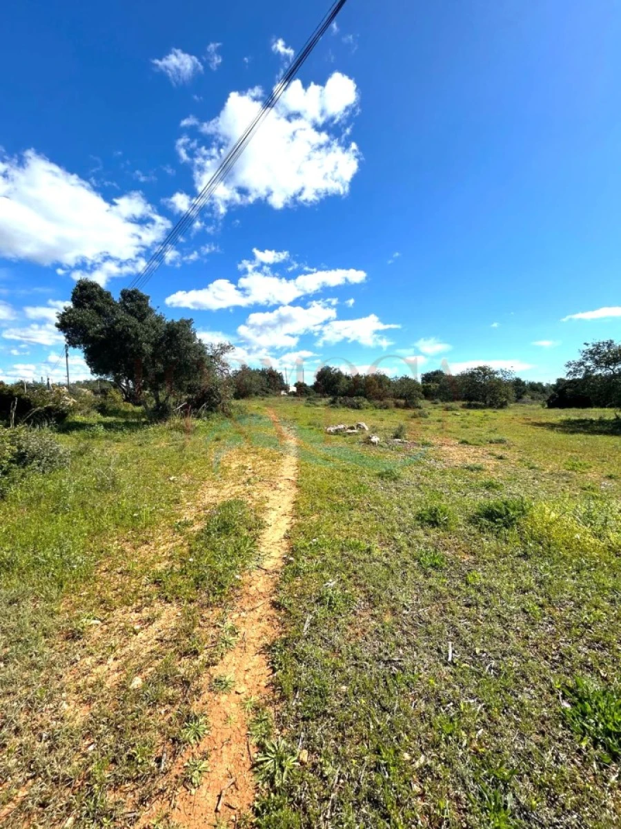 Terreno Agricola ou Rústico para Venda em Moncarapacho e Fuseta Foto 4
