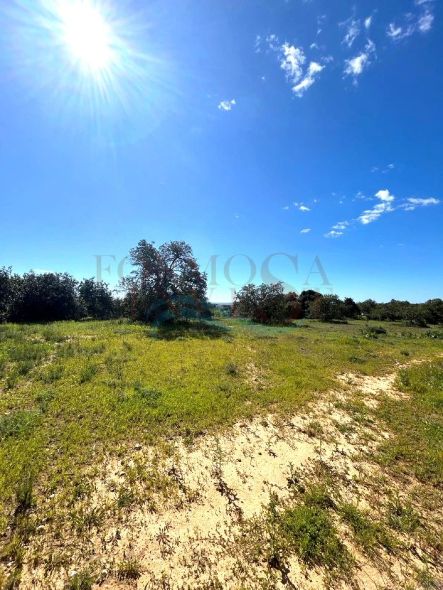 Terreno Agricola ou Rústico para Venda em Moncarapacho e Fuseta Foto 6