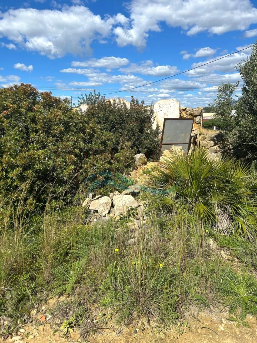 Terreno Agricola ou Rústico para Venda em Moncarapacho e Fuseta Foto 12