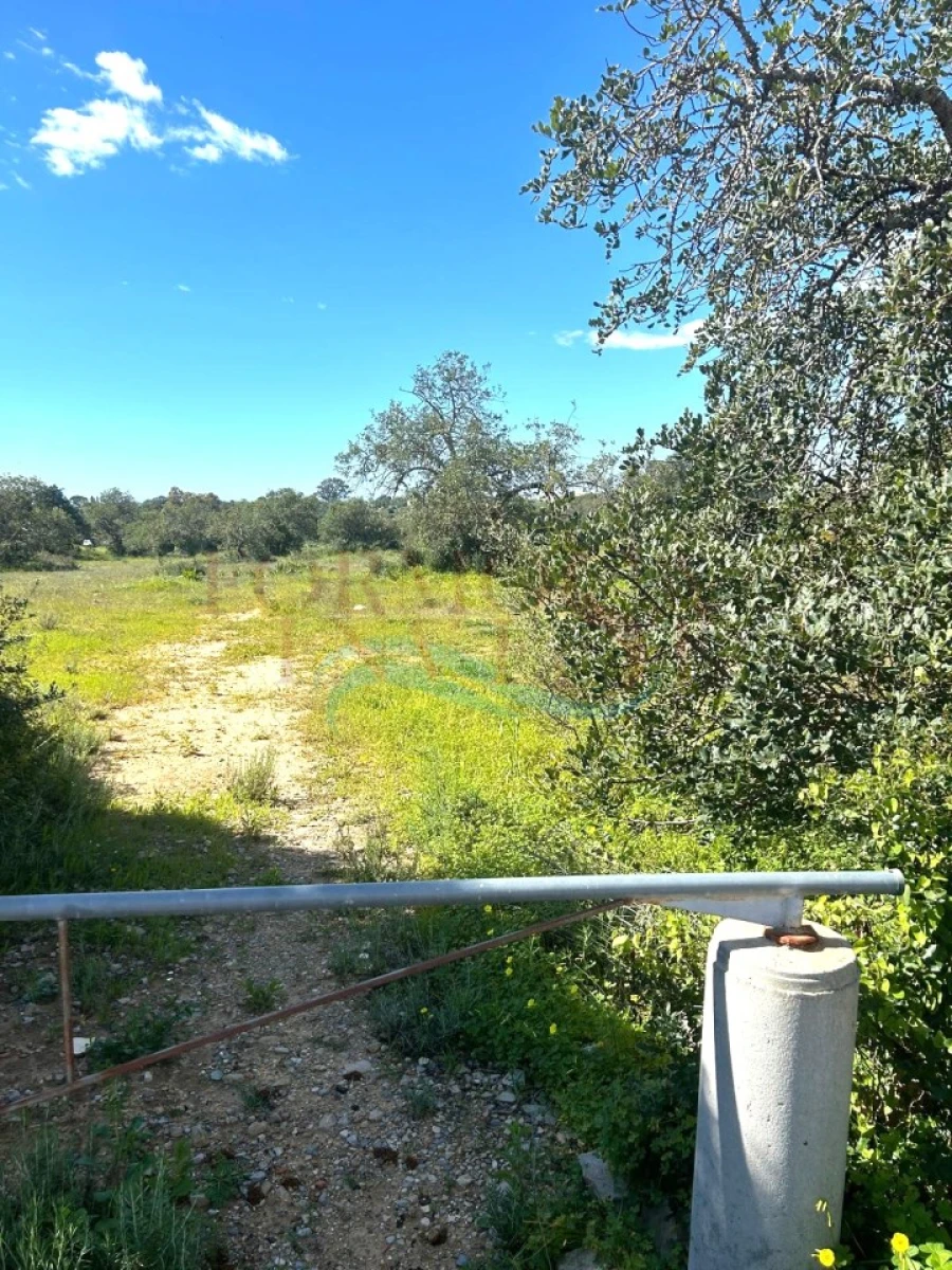 Terreno Agricola ou Rústico para Venda em Moncarapacho e Fuseta Foto 13