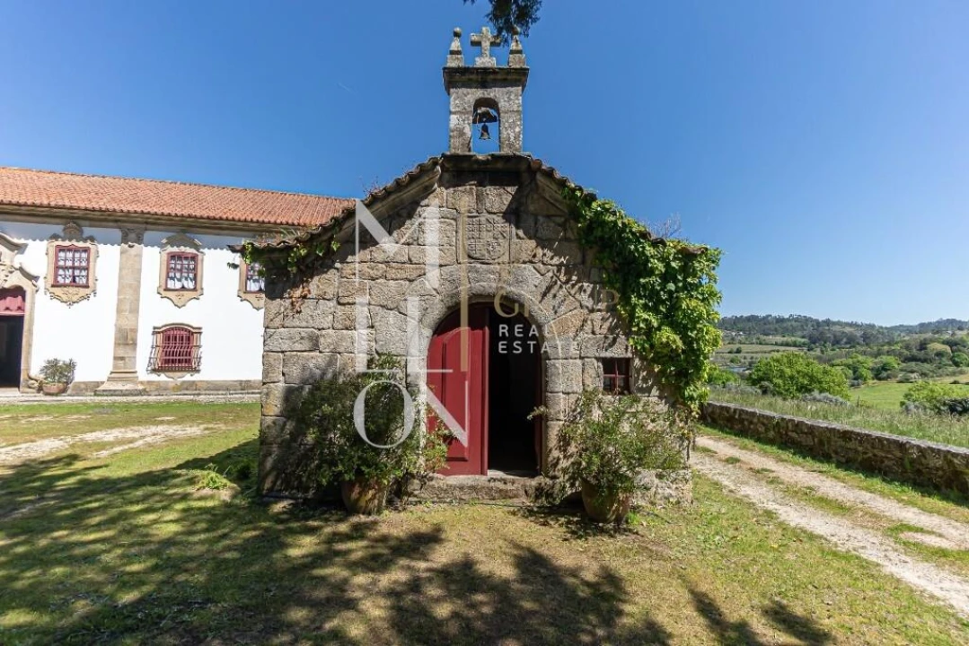 Quinta T7 para Venda em Mangualde, Mesquitela e Cunha Alta Foto 30