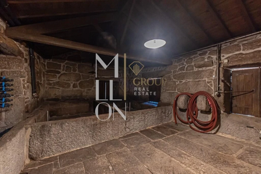 Quinta T7 para Venda em Mangualde, Mesquitela e Cunha Alta Foto 27