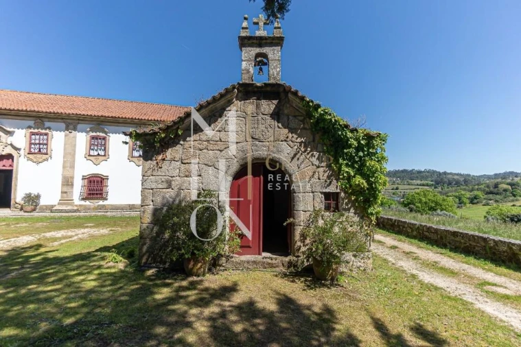 Quinta T7 para Venda em Mangualde, Mesquitela e Cunha Alta Foto 30
