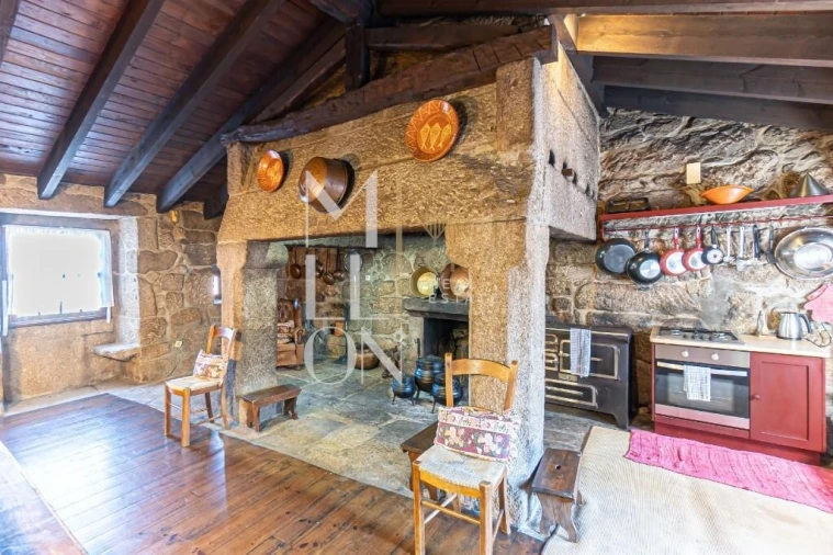 Quinta T7 para Venda em Mangualde, Mesquitela e Cunha Alta Foto 21