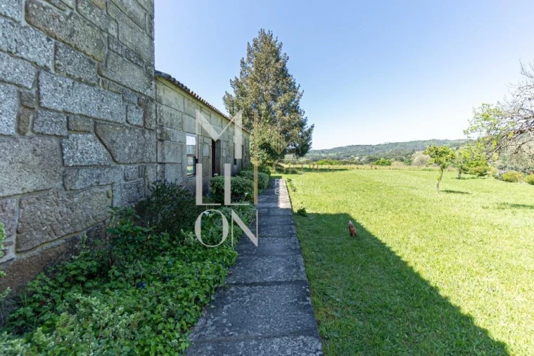 Quinta T7 para Venda em Mangualde, Mesquitela e Cunha Alta Foto 23