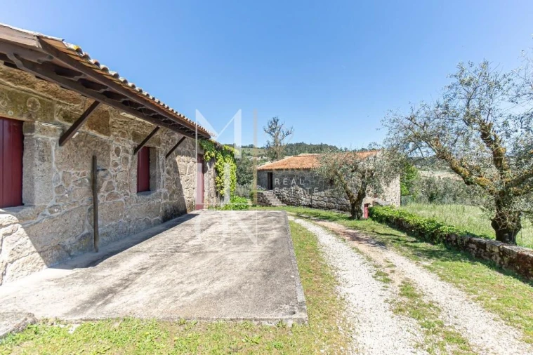 Quinta T7 para Venda em Mangualde, Mesquitela e Cunha Alta Foto 28